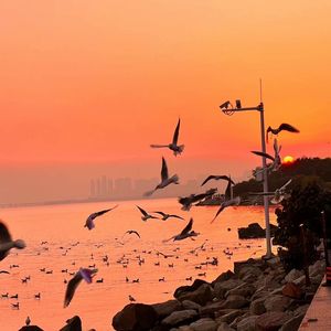 小天水电工硬小天于越分析
